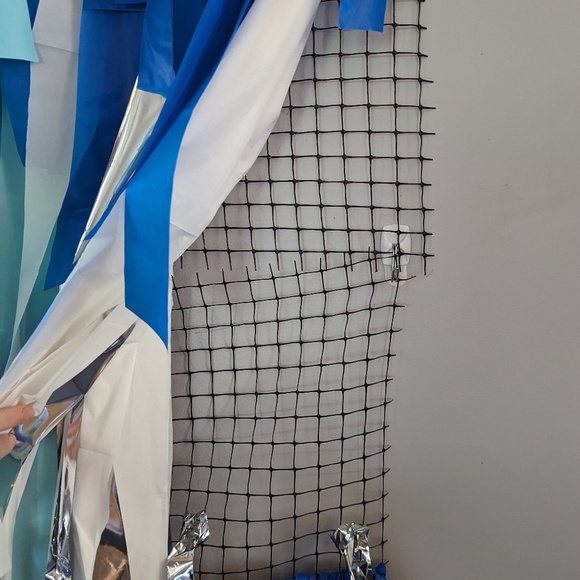 Photo Backdrop - Picture 2 of 2